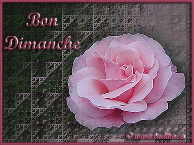 Bon Dimanche